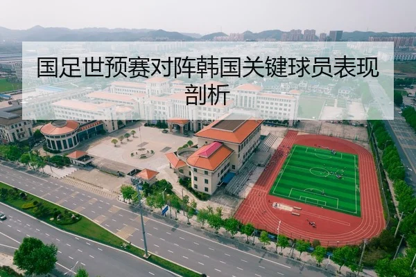 国足世预赛对阵韩国关键球员表现剖析